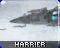 Harrier